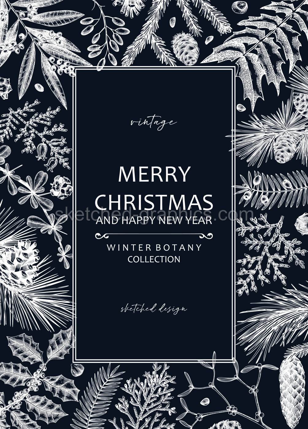 Merry Christmas card  on chalkboard with evergreen plants, conifers, and nuts drawing. Winter design with hand-drawn botanical illustrations. Vintage Christmas background, New Year invitation template Illustration